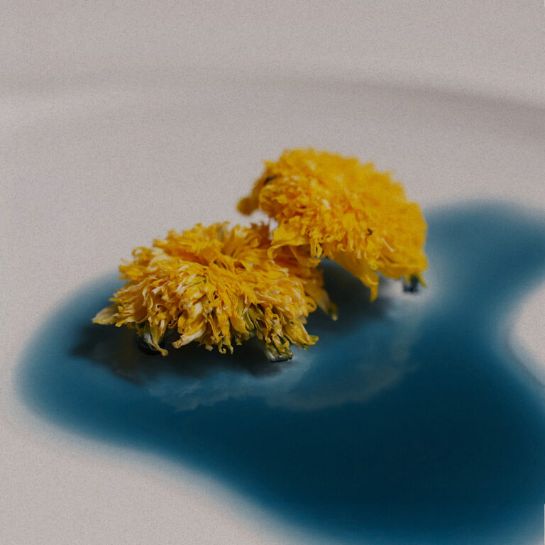 oil