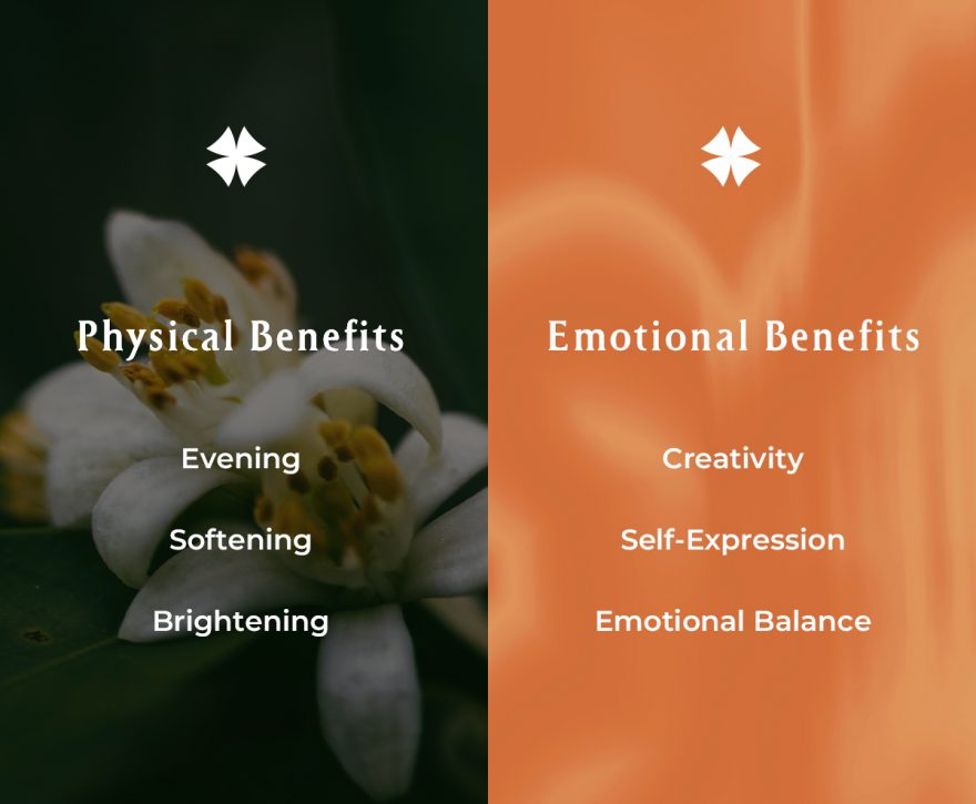 工作區域 1 拷貝 3_neroli