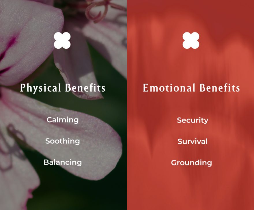 工作區域 1 拷貝 3_rosegeraniu