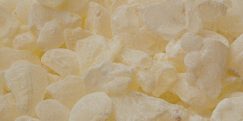 Pistacia Lentiscus (Mastic) Gum (Lakesis) ​