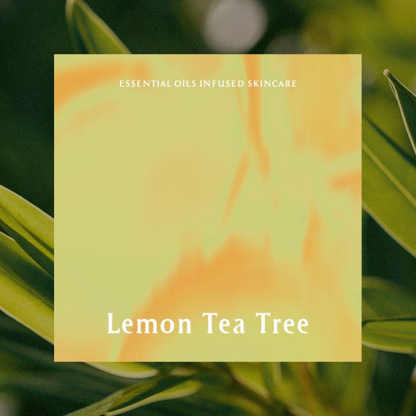 工作區域 1 拷貝_lemon tea t