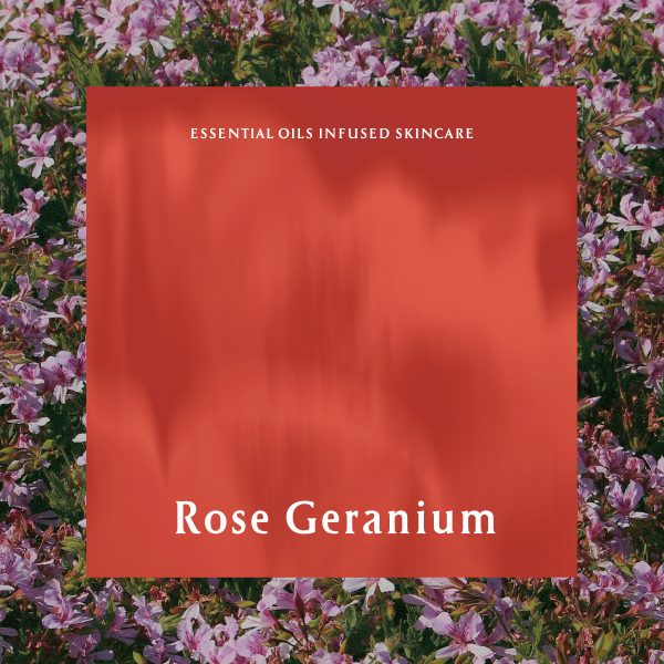 工作區域 1 拷貝_rosegeraniu